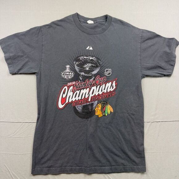 Alstyle Other - Alstyle 2010 NHL Chicago Blackhawks Stanley Cup Champions T Shirt Men's L Large